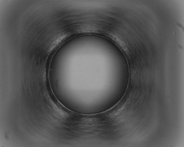 X0000091920629200709191340