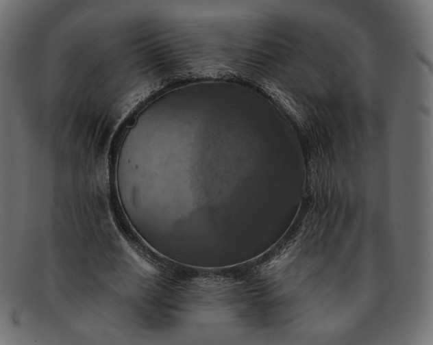 X0000091920630200709191340