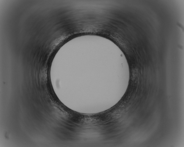 X0000091920632200709191340
