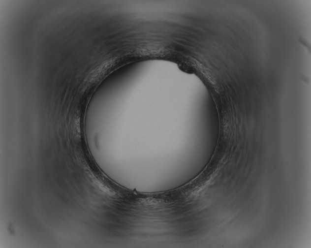 X0000091920633200709191340