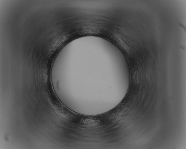 X0000091920635200709191340