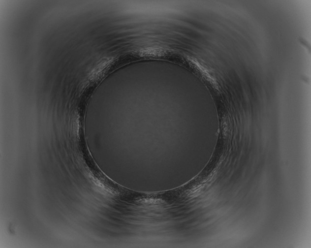 X0000091920637200709191340