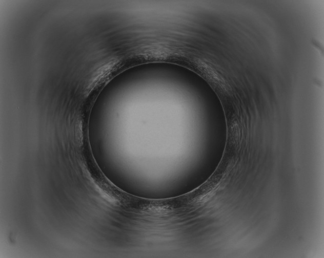 X0000091920638200709191340