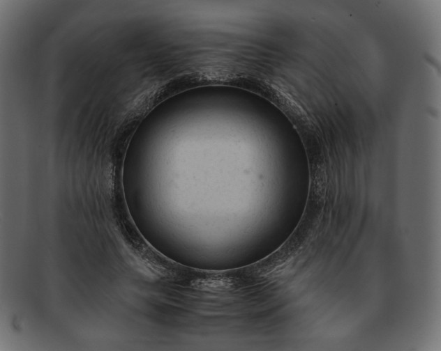 X0000091920639200709191340