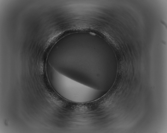 X0000091920640200709191340
