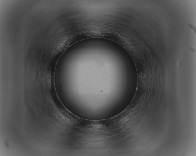 X0000091920642200709191340