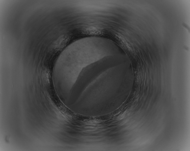 X0000091920643200709191340