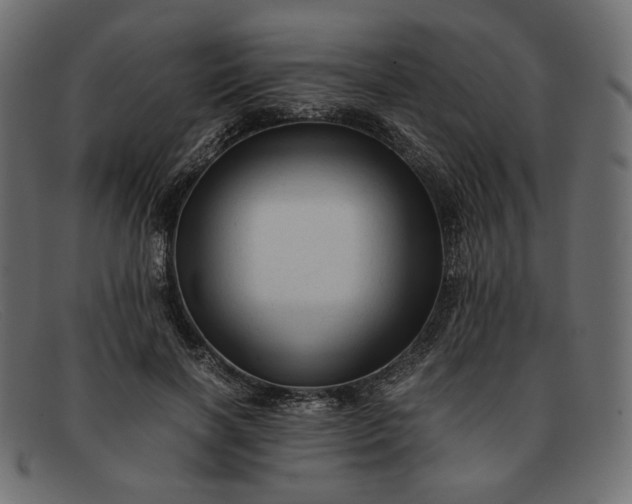 X0000091920646200709191340