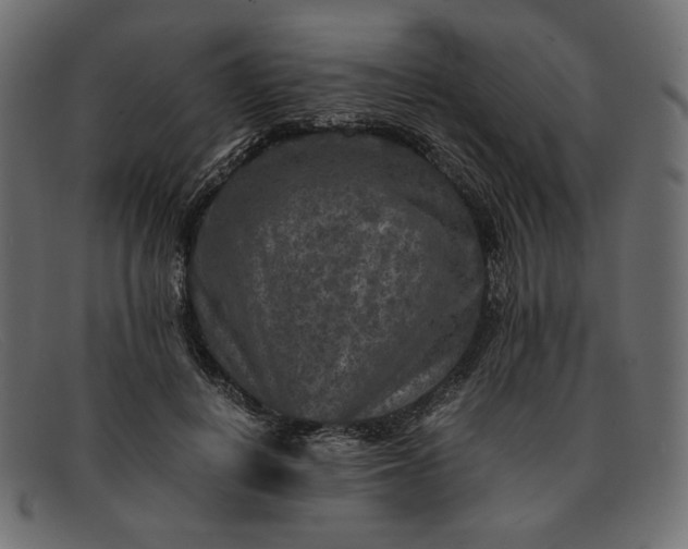 X0000091920648200709191340