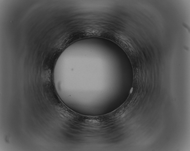 X0000091920649200709191340