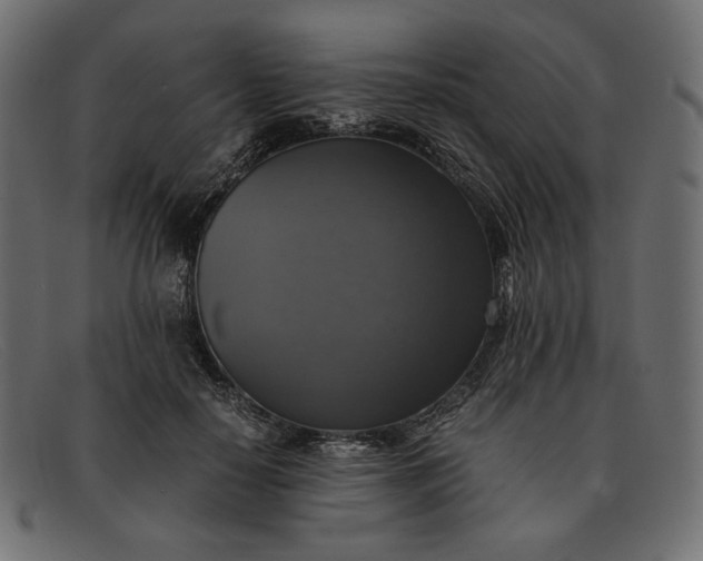 X0000091920650200709191340