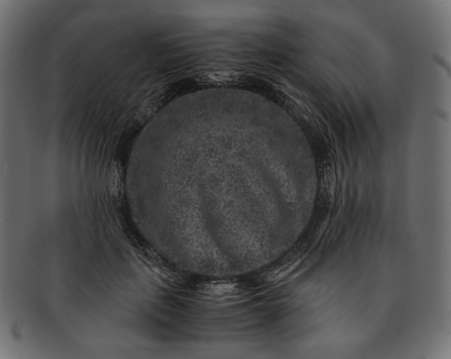 X0000091920651200709191340
