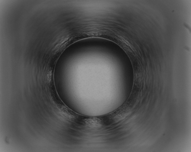 X0000091920652200709191340