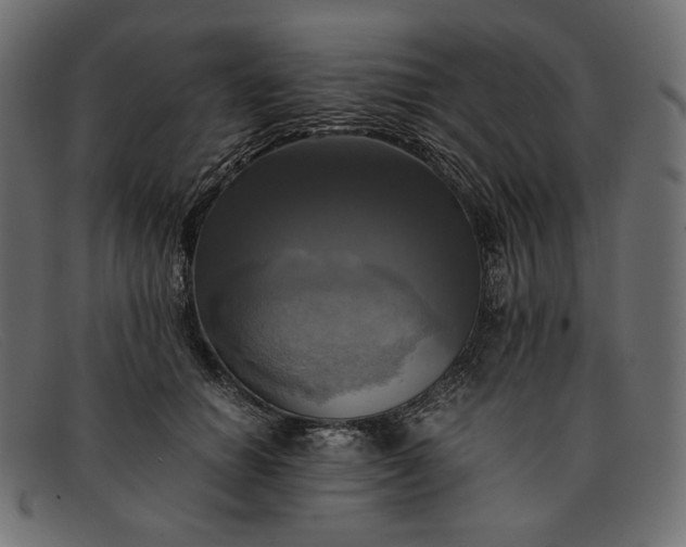 X0000091920654200709191340