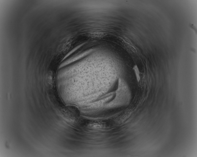 X0000091920655200709191340