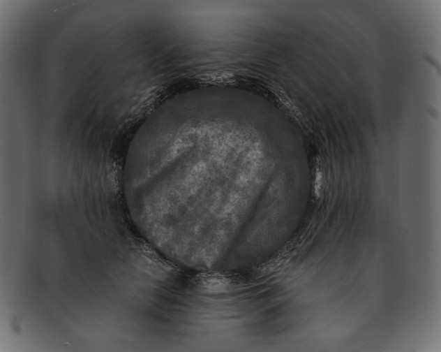 X0000091920658200709191340