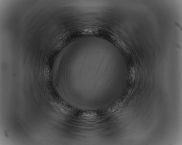 X0000091920659200709191340