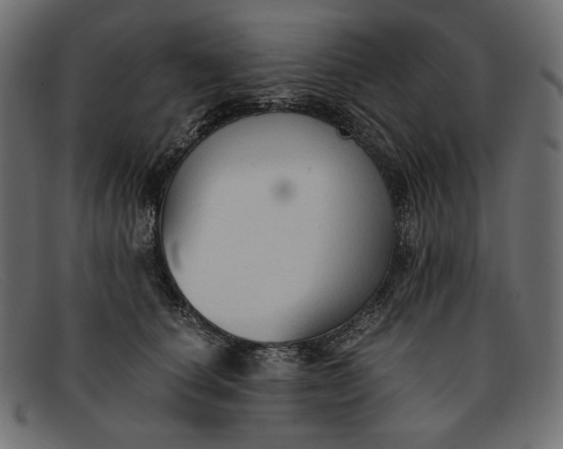X0000091920660200709191340