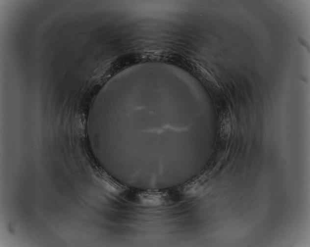 X0000091920661200709191340