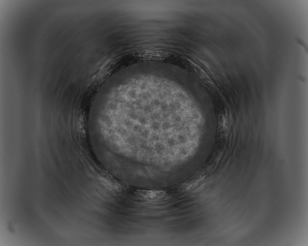 X0000091920663200709191340