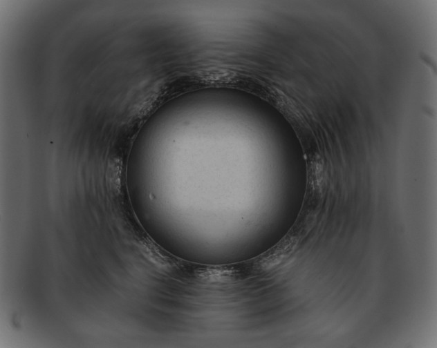 X0000091920664200709191340