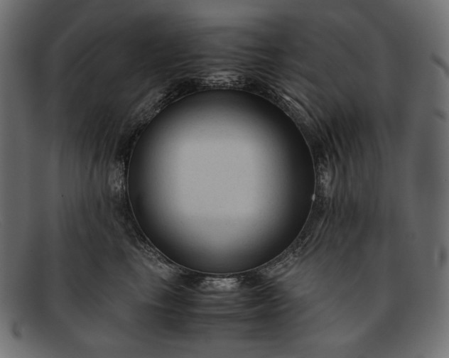 X0000091920665200709191340