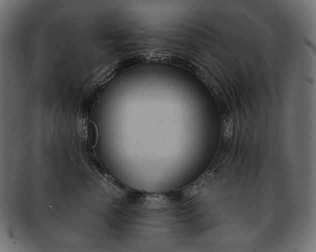 X0000091920666200709191340