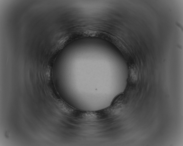 X0000091920668200709191341
