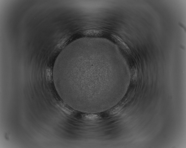 X0000091920669200709191341