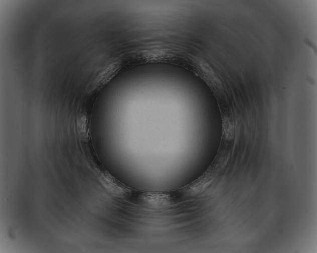 X0000091920670200709191341
