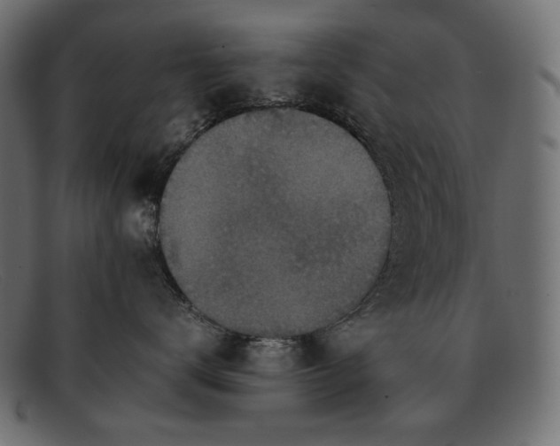 X0000091920672200709191341