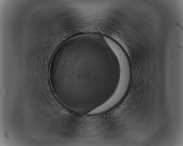 X0000091920673200709191340