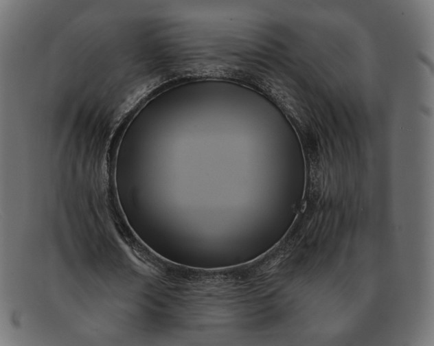 X0000091920674200709191340