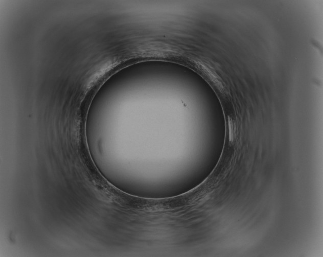 X0000091920675200709191340