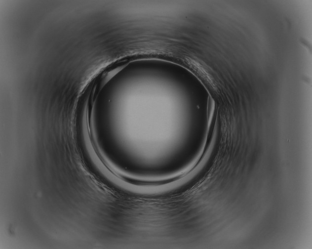 X0000091920676200709191340