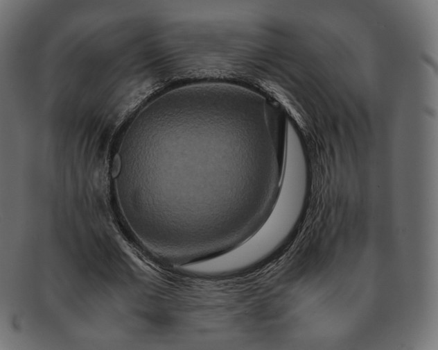 X0000091920677200709191340