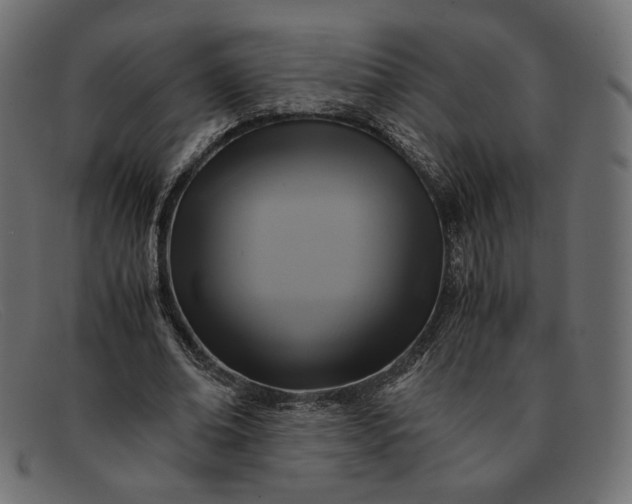 X0000091920678200709191340