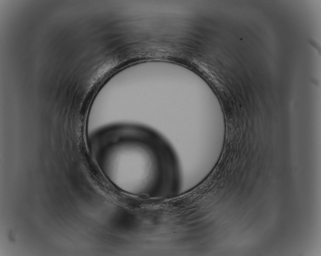 X0000091920679200709191340