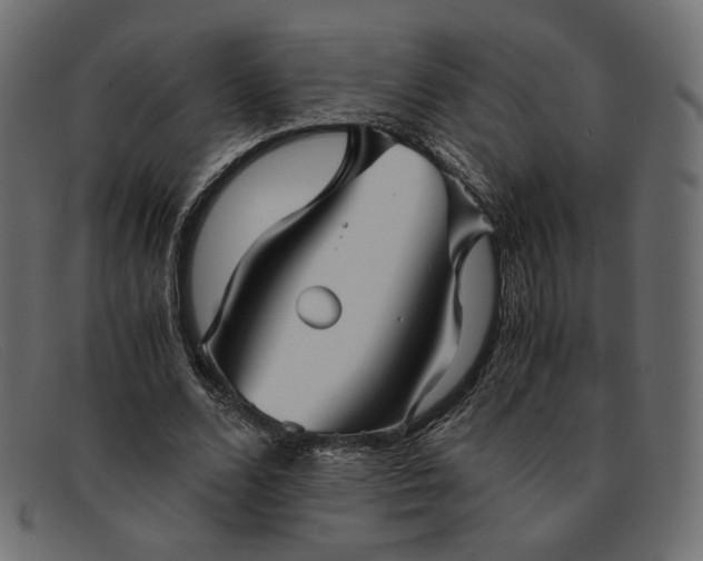 X0000091920680200709191340