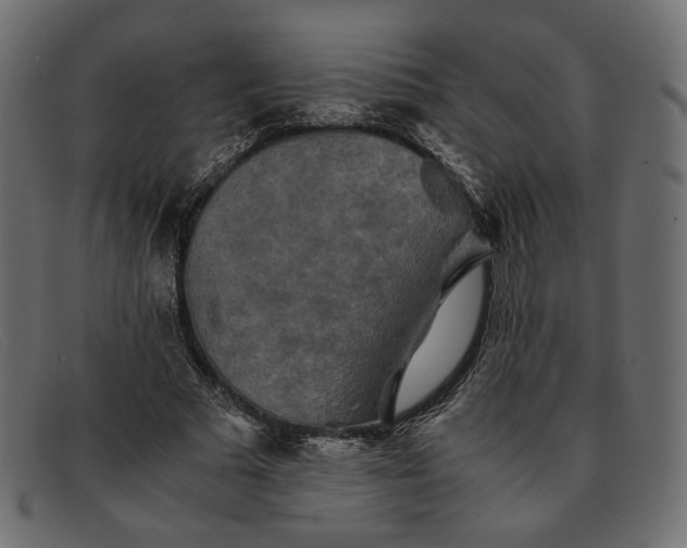 X0000091920681200709191340