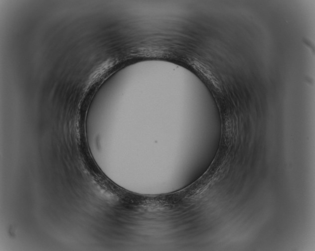X0000091920682200709191340