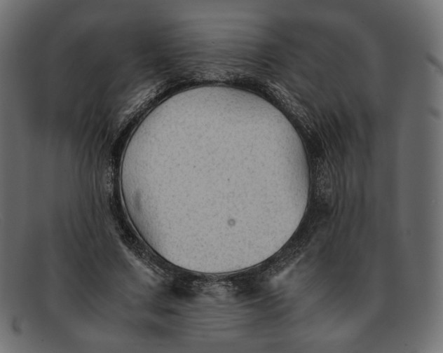 X0000091920683200709191340