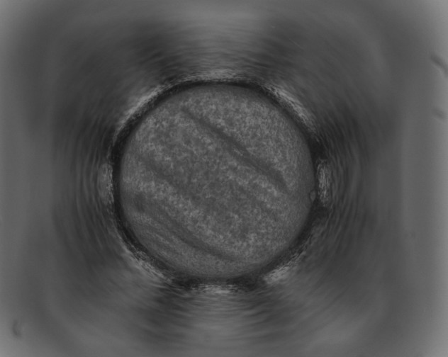 X0000091920684200709191340