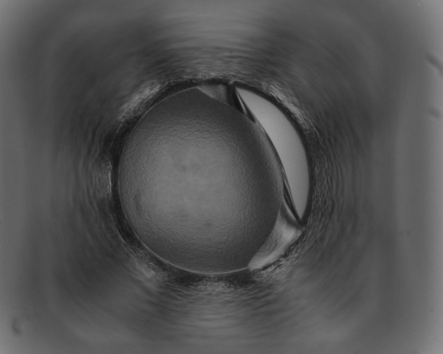 X0000091920685200709191340