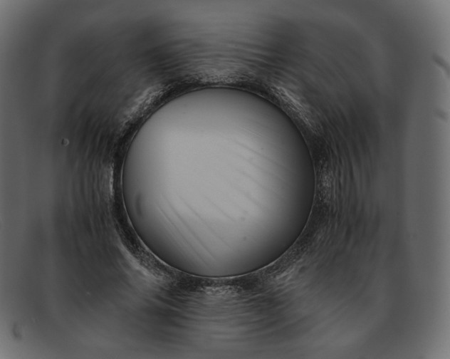 X0000091920686200709191340