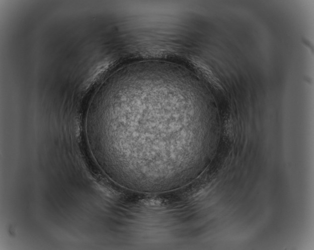 X0000091920687200709191340