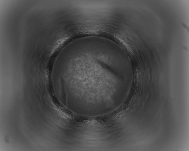 X0000091920688200709191340