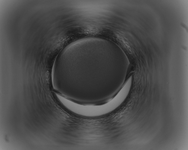 X0000091920689200709191340