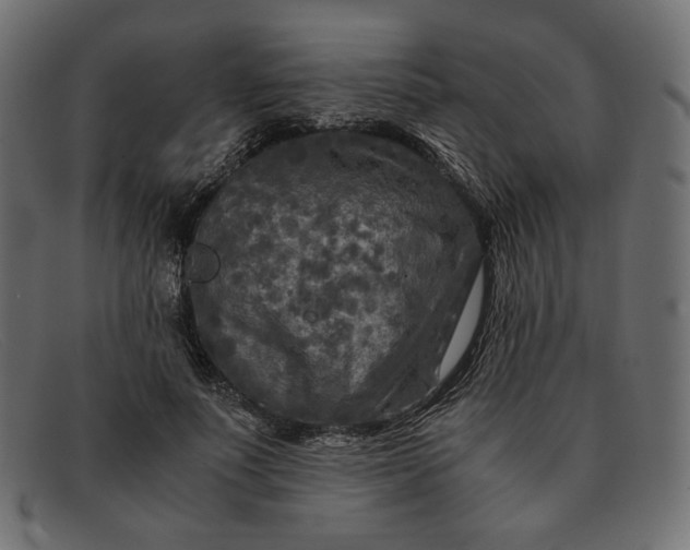 X0000091920691200709191340