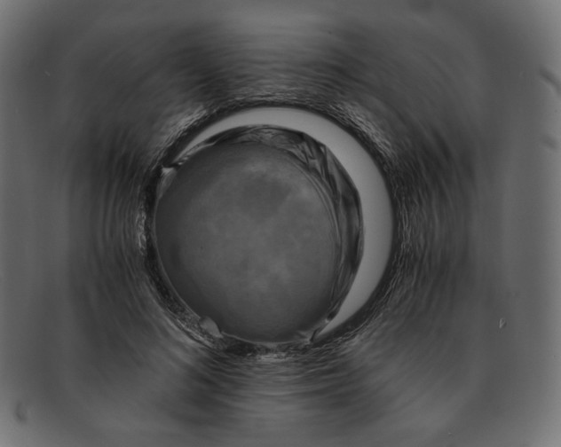 X0000091920692200709191340